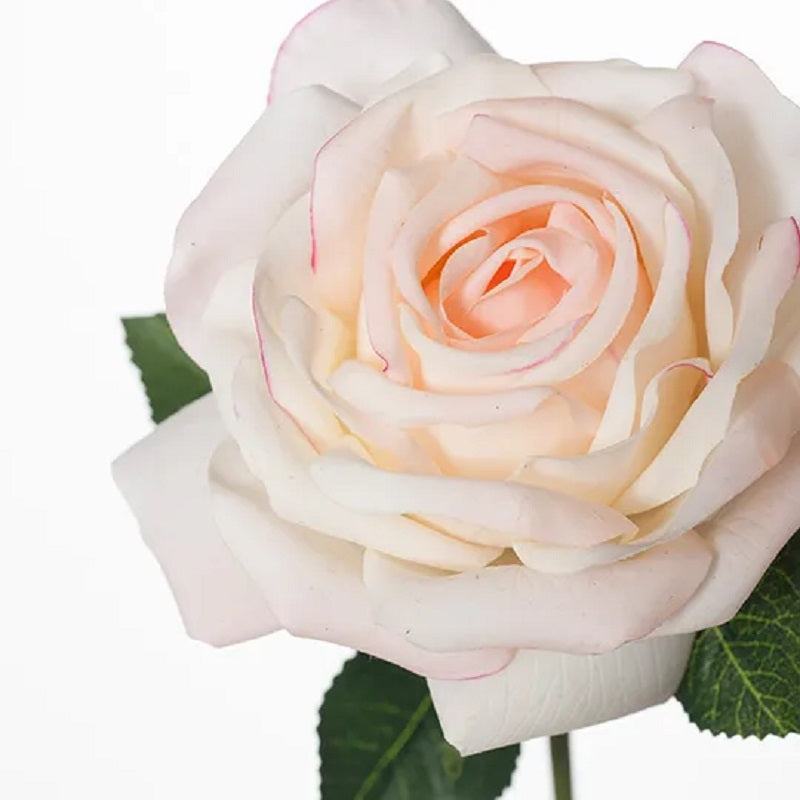 Rose Bella - Cream Pink 37cm