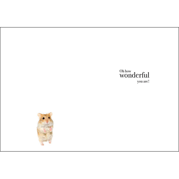 Animal Affirmations Card - Twinkle Twinkle Little Star