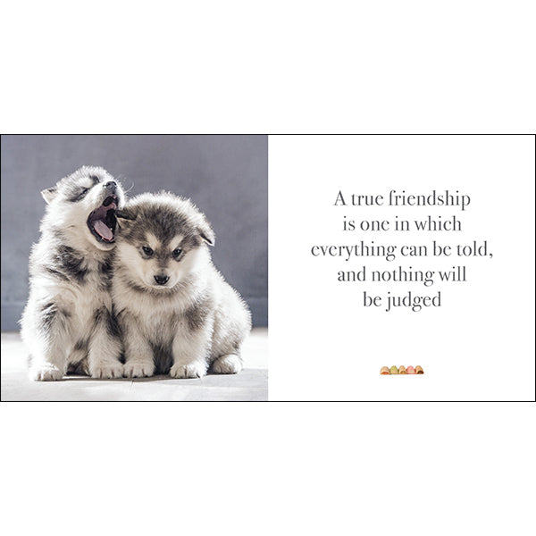 Pupparazzi - Inspirational Book