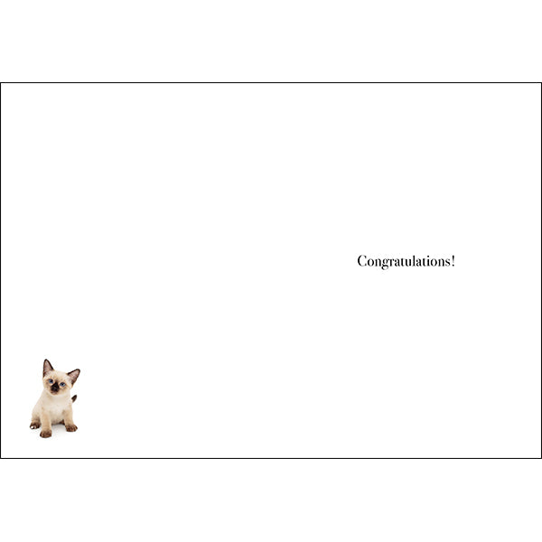 Animal Affirmations Card - It’s A Girl! (Kitten)