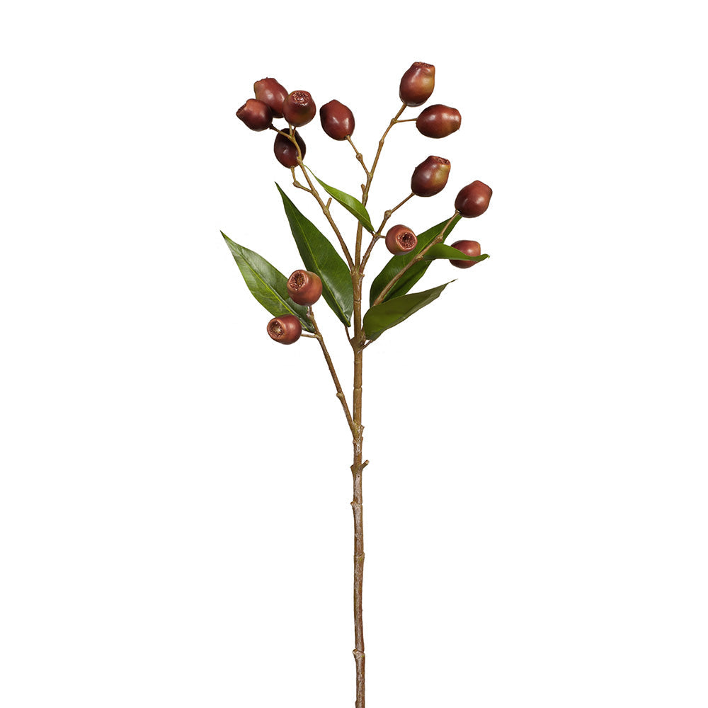 Eucalyptus Gum Nut Spray - Burgundy Green 66cm