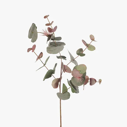 Spinning Gum Flowering Eucalyptus - Pink 88cm