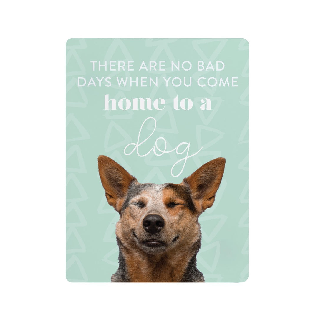 Playful Pets Bad Days Ceramic Magnet