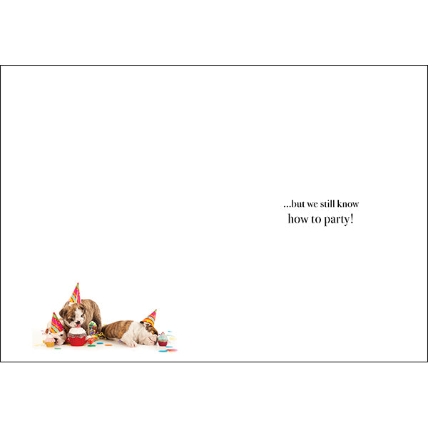 Animal Affirmations Card - Happy Birthday, We Might Be Old Dogs...