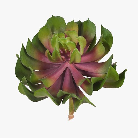 Faux Succulent
