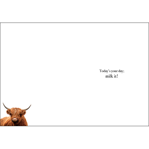 Animal Affirmations Card - Happy Birthday, You Old Cow!