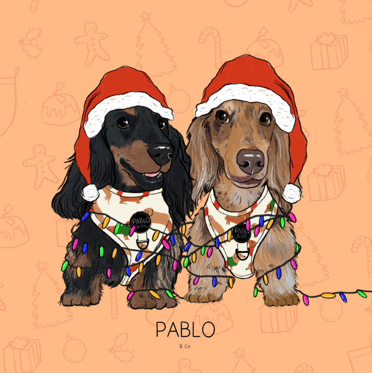Christmas Gifts for Fur Babies