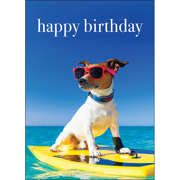 Animal Affirmations Card - Happy Birthday (Dog Surfing)