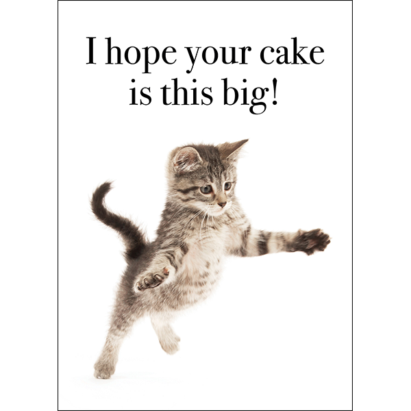 Animal Affirmations Card - I Hope Your Cake Is This Big (Kitten)