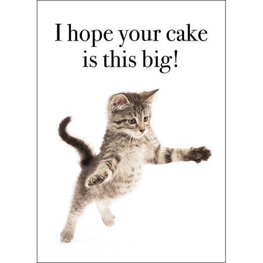 Animal Affirmations Card - I Hope Your Cake Is This Big (Kitten)
