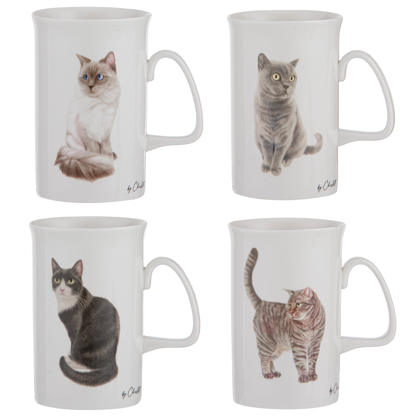 Purrrfect Moments - British Short Hair Can Mug