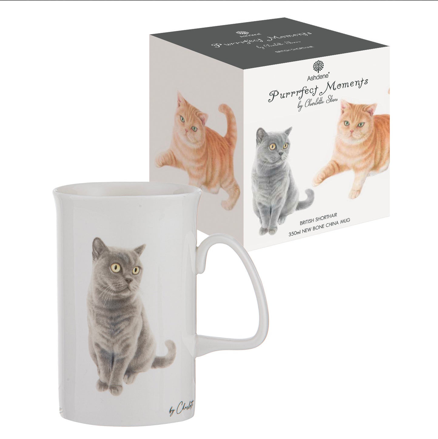 Purrrfect Moments - British Short Hair Can Mug