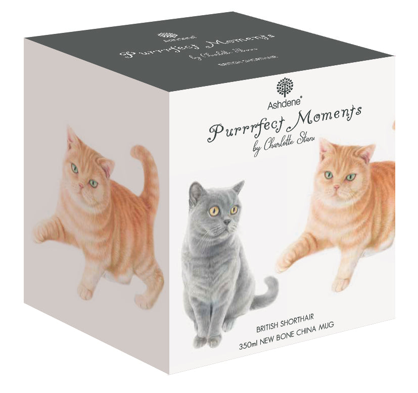 Purrrfect Moments - British Short Hair Can Mug