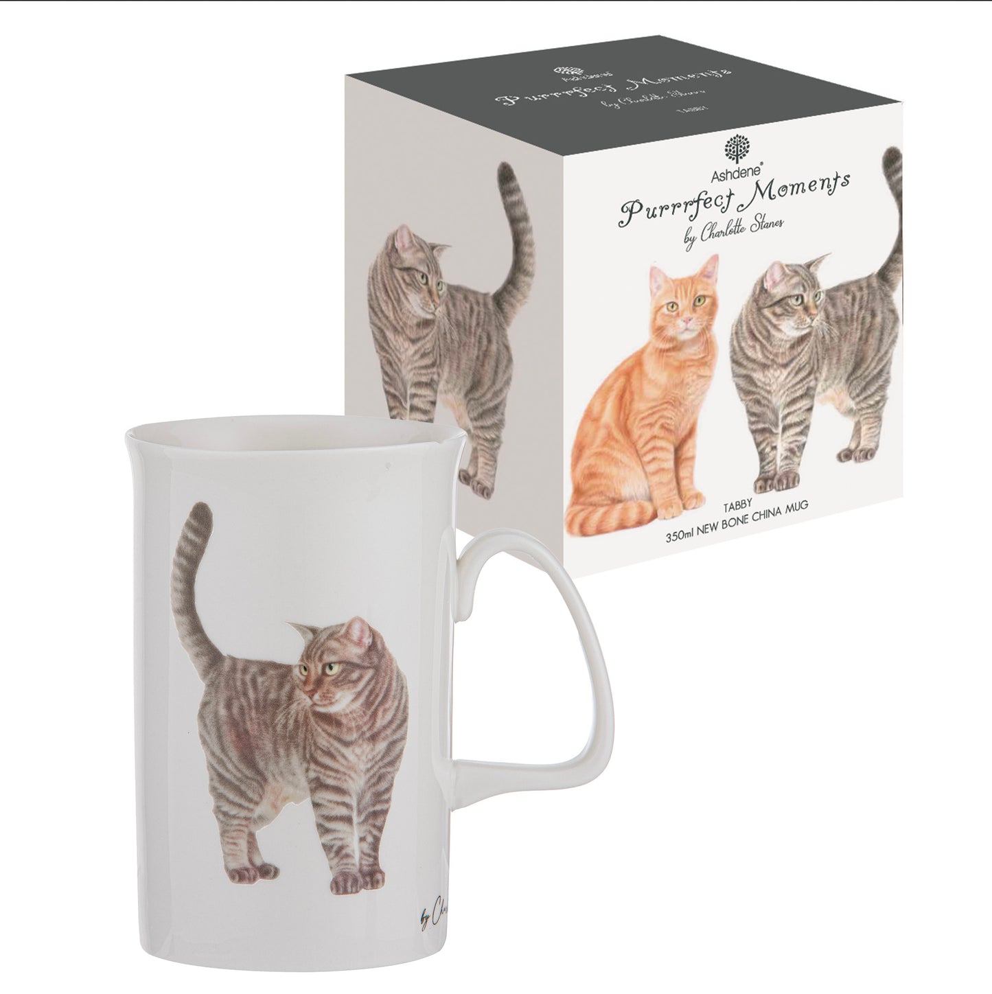 Purrrfect Moments - Tabby Can Mug
