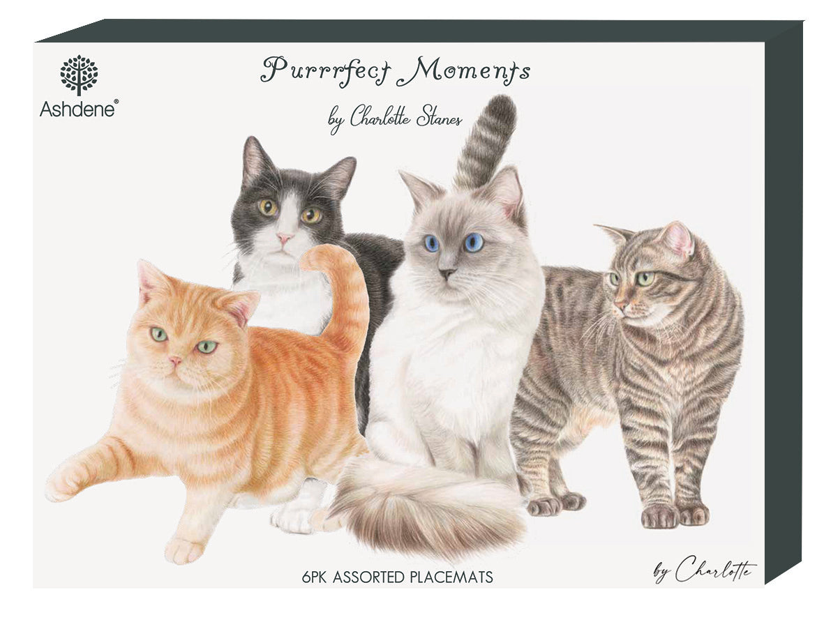 Purrrfect Moments - Placemat 6PK