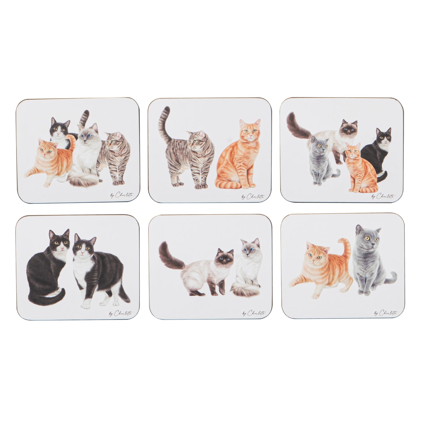 Purrrfect Moments - Coaster 6PK