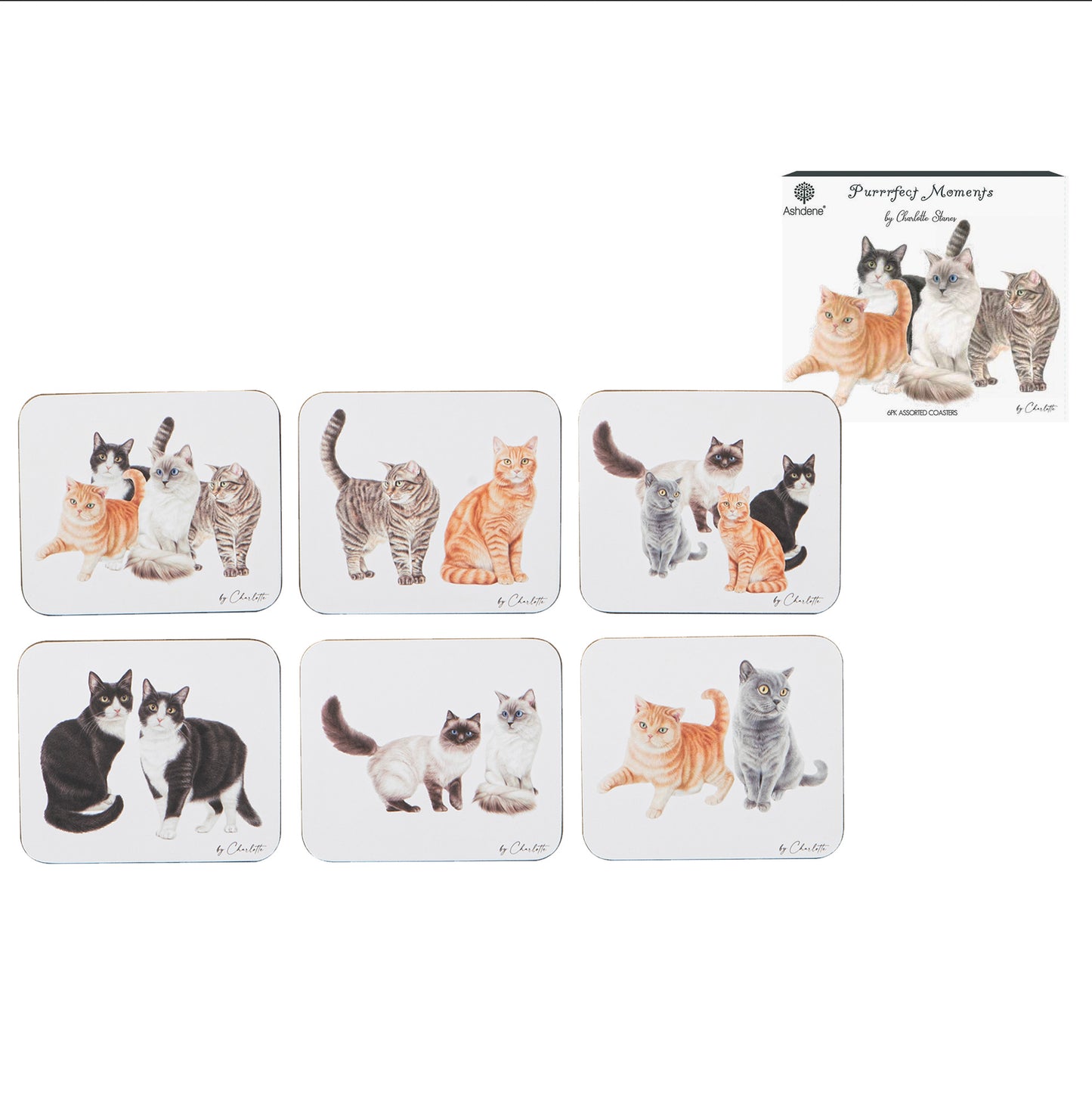 Purrrfect Moments - Coaster 6PK
