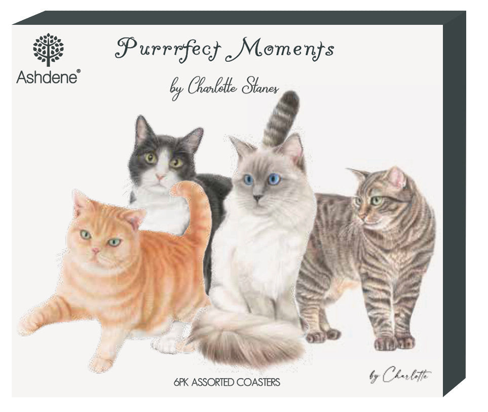 Purrrfect Moments - Coaster 6PK