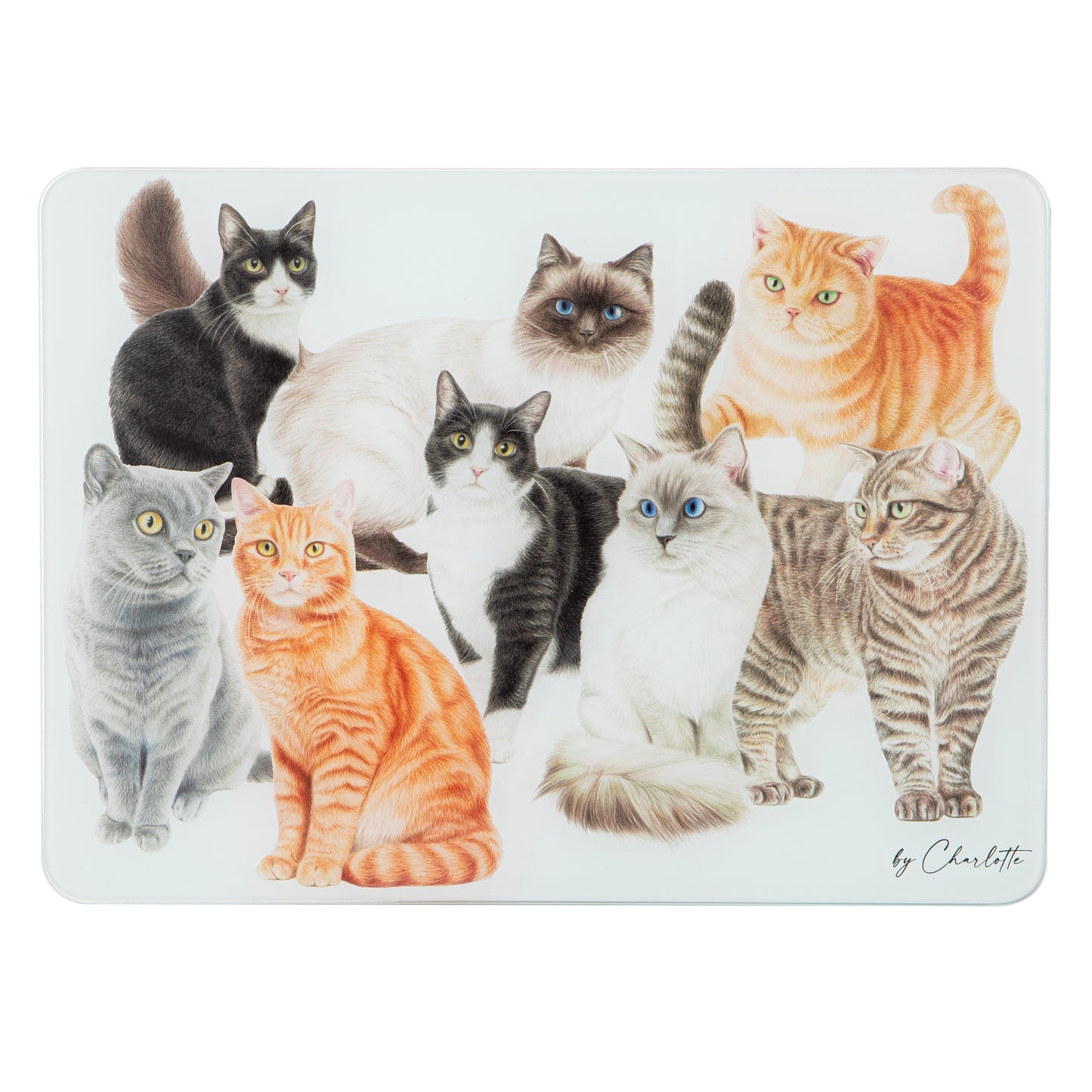 Purrrfect Moments - Surface Protector