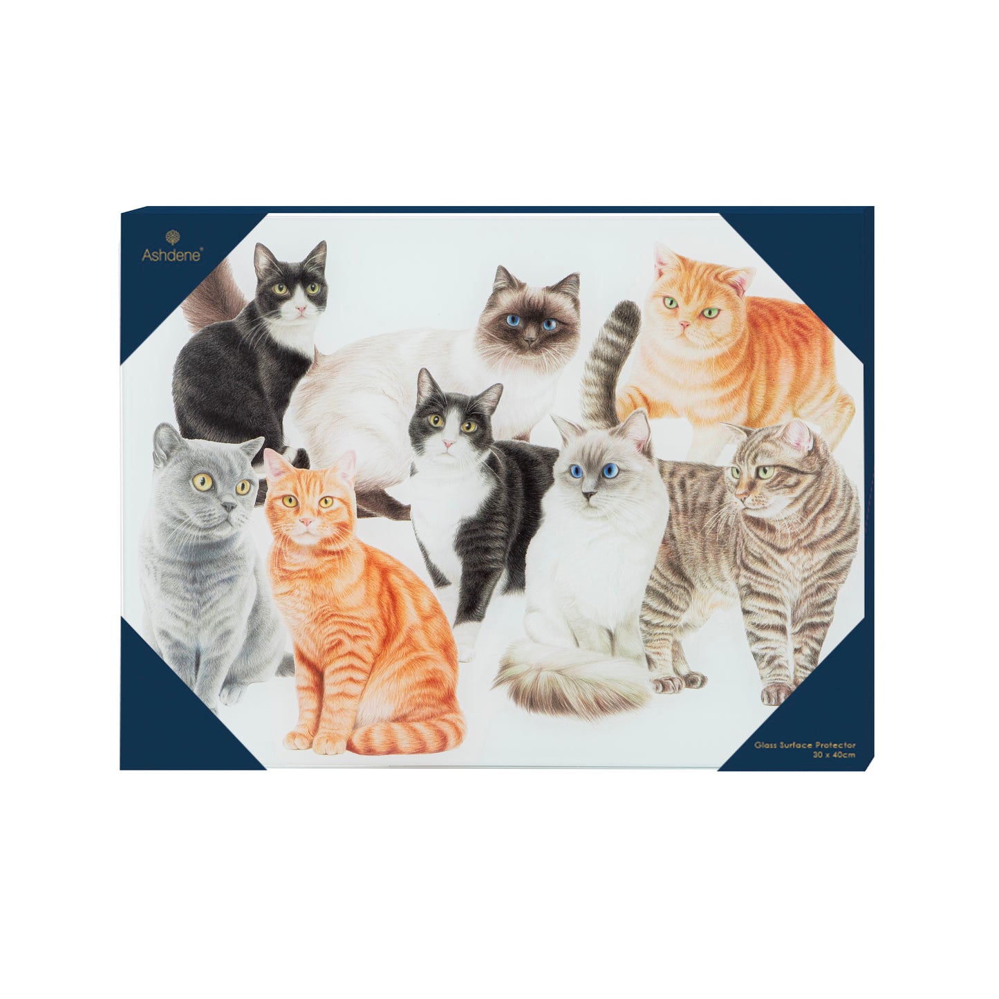 Purrrfect Moments - Surface Protector