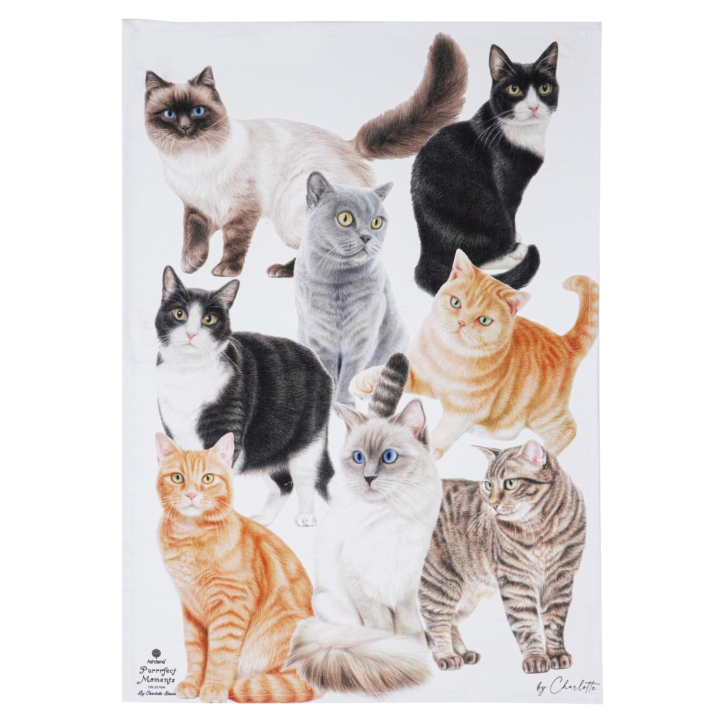 Purrrfect Moments - Kitchen Towel (2PK)
