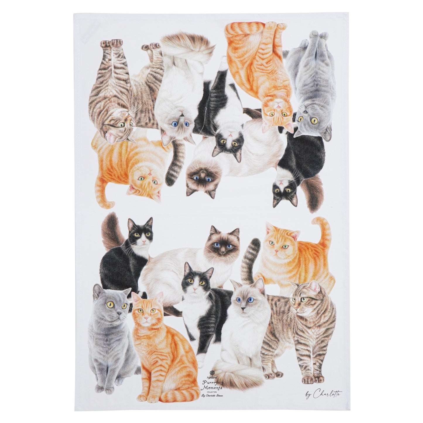 Purrrfect Moments - Kitchen Towel (2PK)