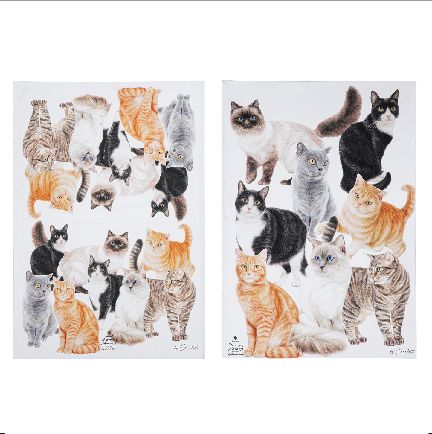Purrrfect Moments - Kitchen Towel (2PK)