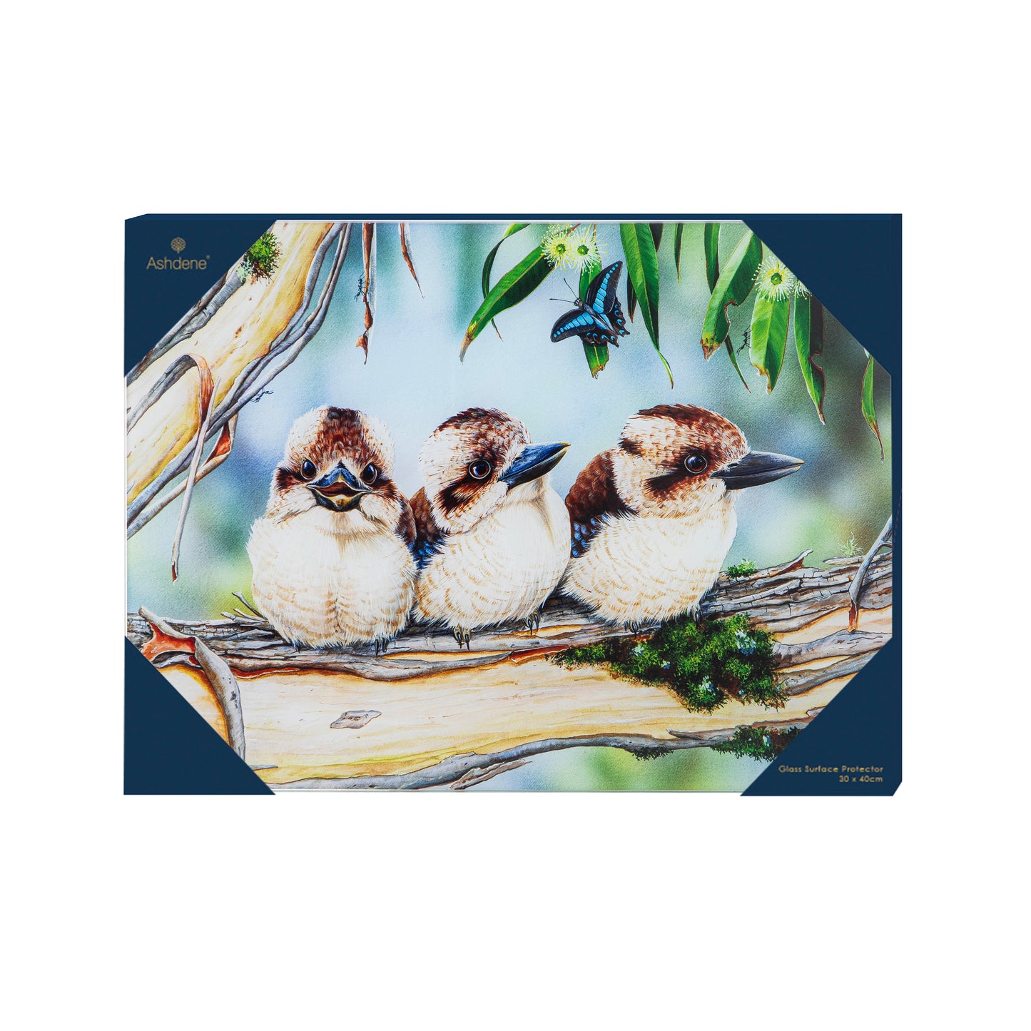 Babies Of The Bush - Kookaburra Surface Protector