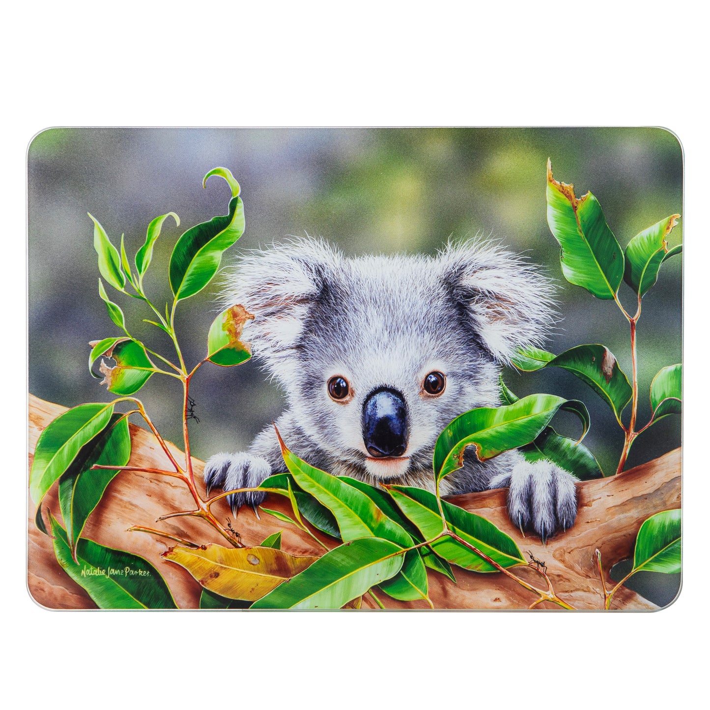 Babies Of The Bush - Koala Joey Surface Protector
