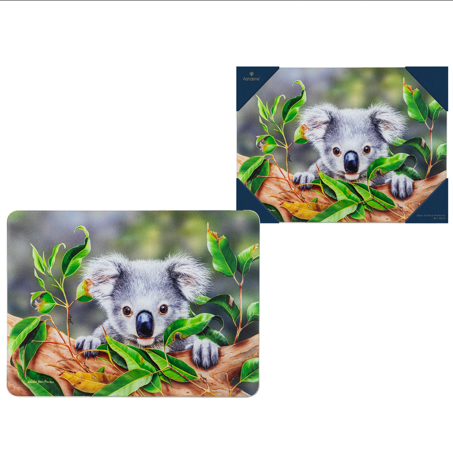 Babies Of The Bush - Koala Joey Surface Protector