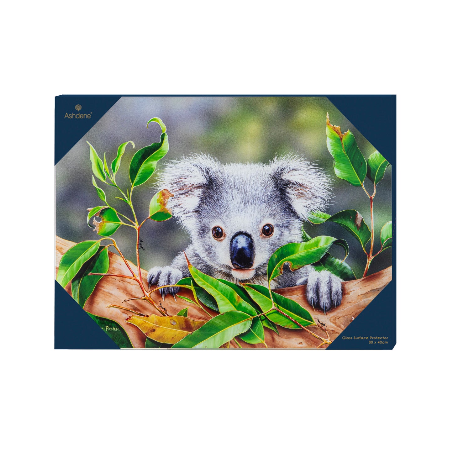 Babies Of The Bush - Koala Joey Surface Protector