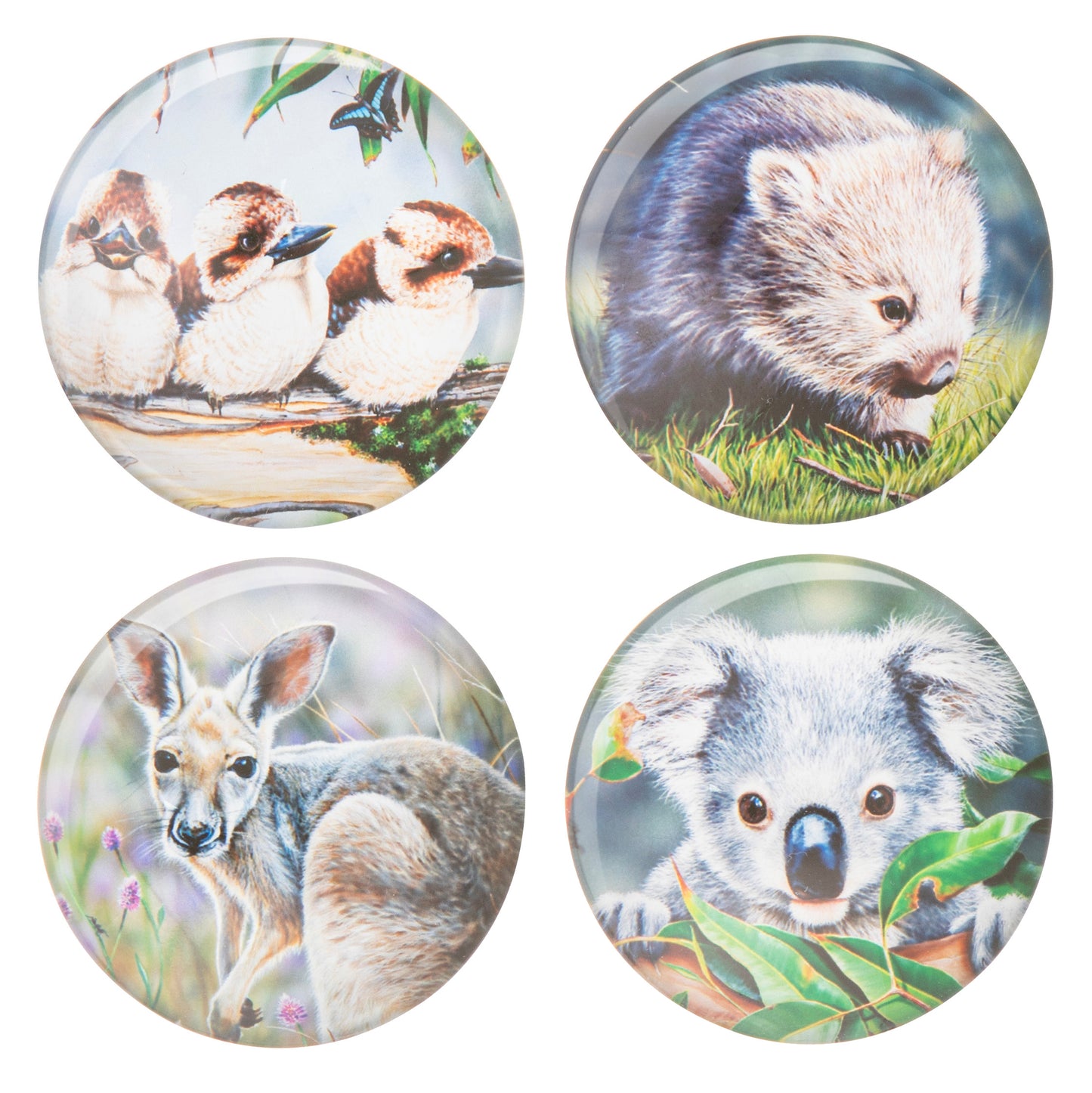 Babies Of The Bush - Magnets (Set Of 4)