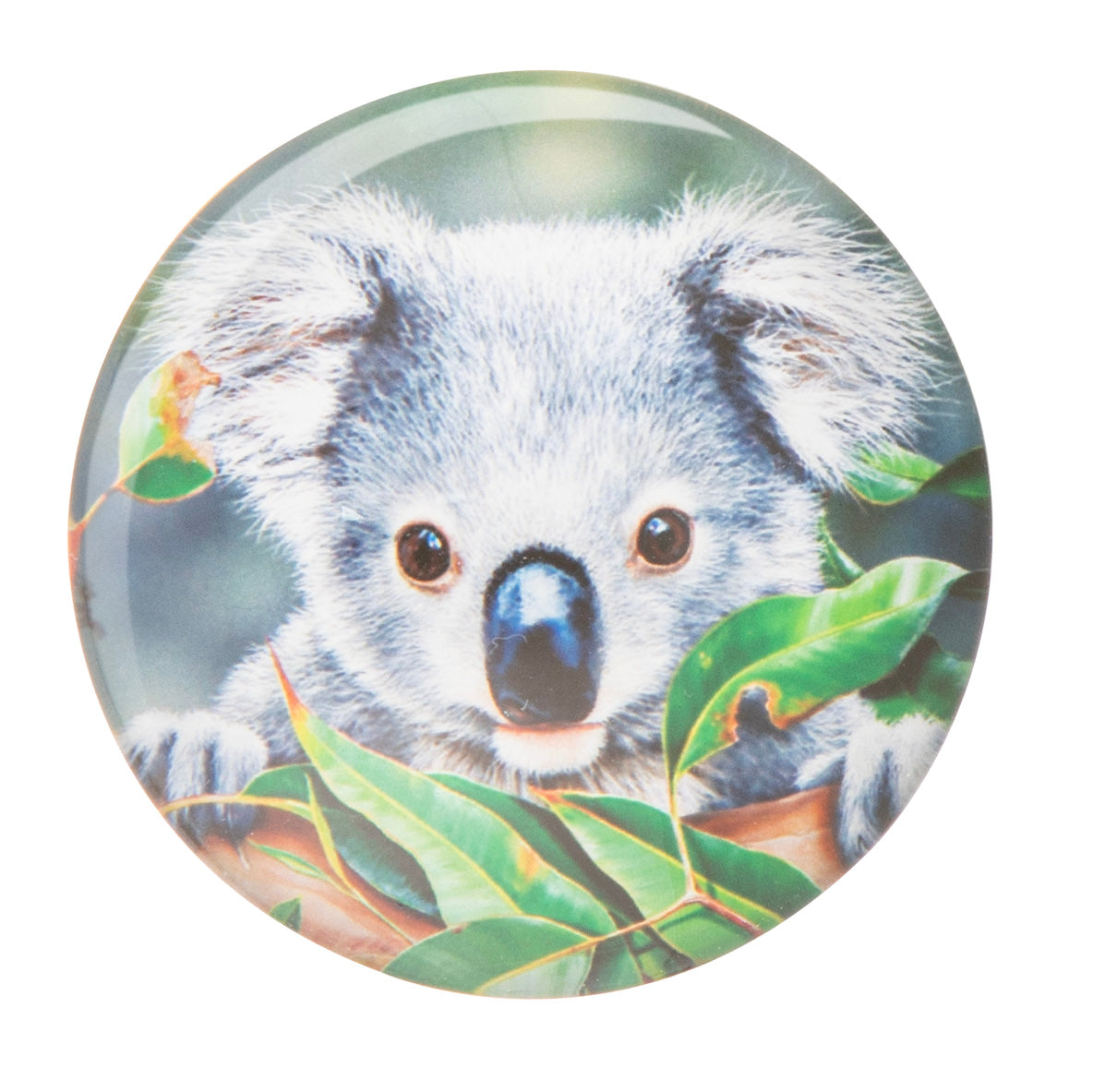 Babies Of The Bush - Magnets (Set Of 4)