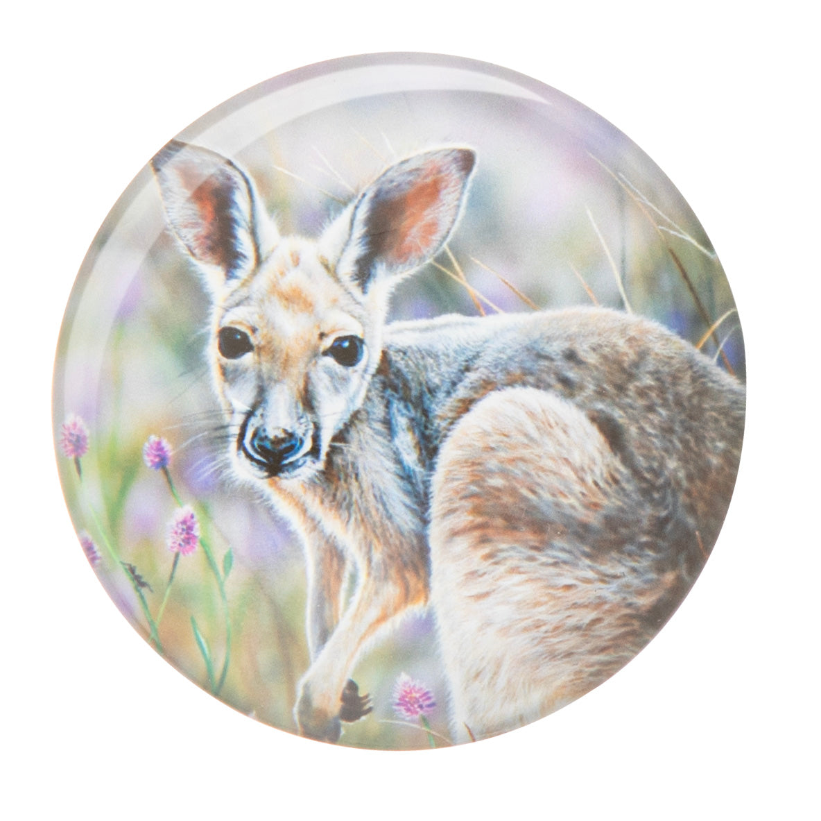 Babies Of The Bush - Magnets (Set Of 4)
