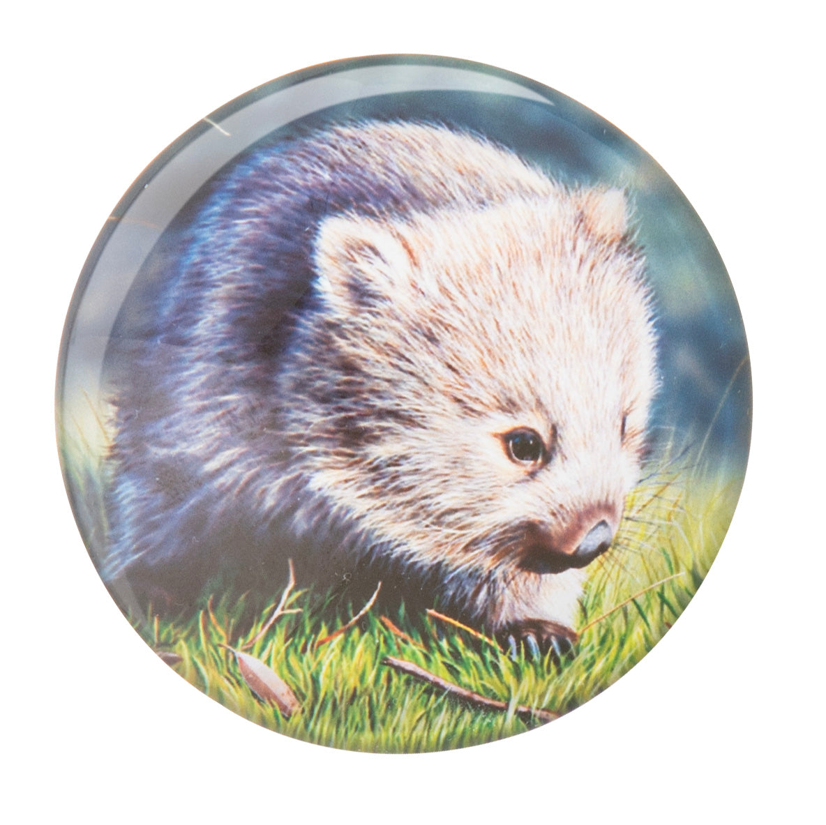 Babies Of The Bush - Magnets (Set Of 4)