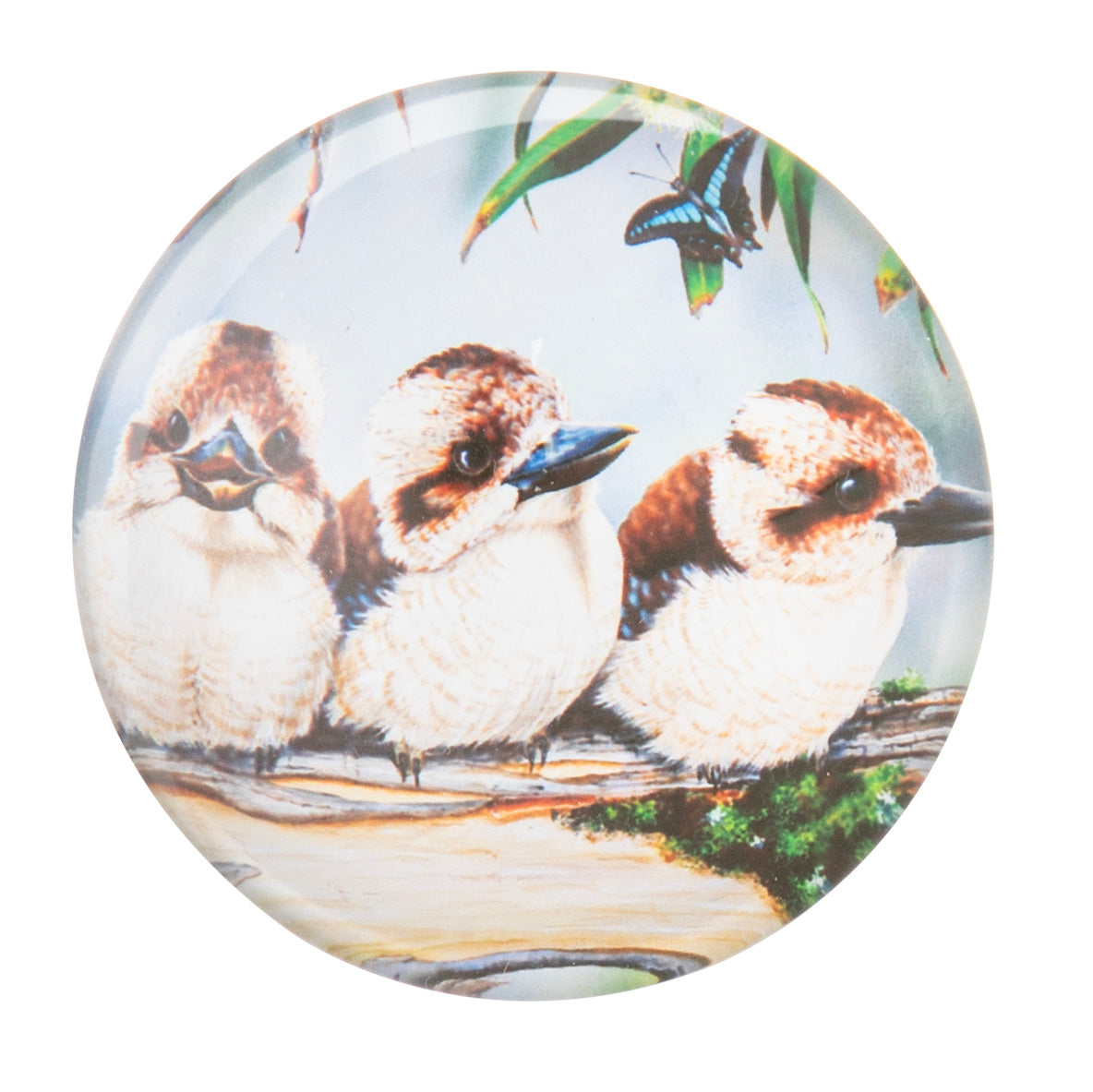 Babies Of The Bush - Magnets (Set Of 4)