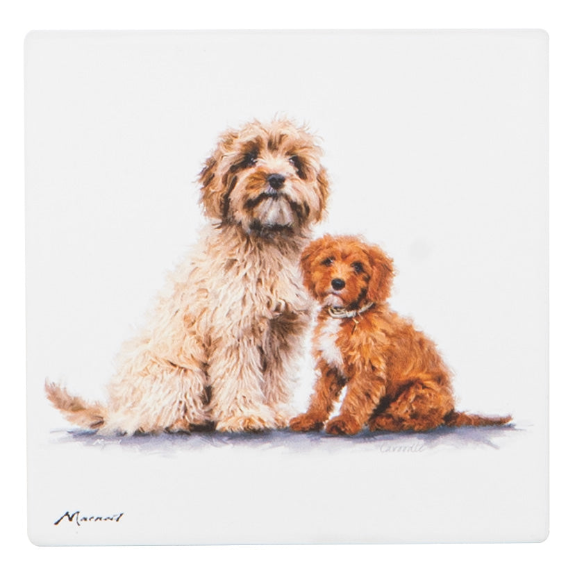 Puppy Love - Cavoodle Ceramic Coaster