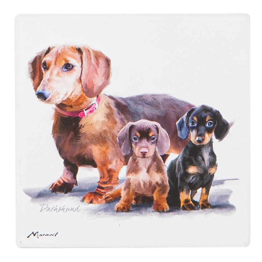 Puppy Love - Dachshund Ceramic Coaster