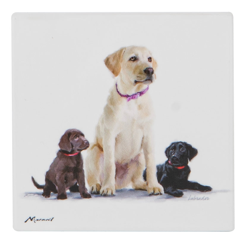 Puppy Love - Labrador Ceramic Coaster