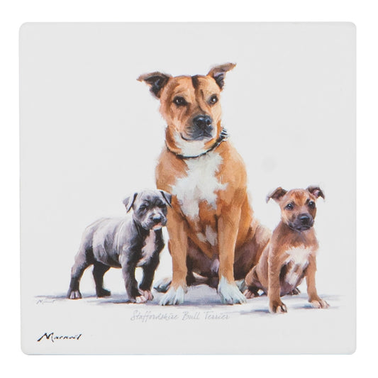 Puppy Love - Staffy Ceramic Coaster
