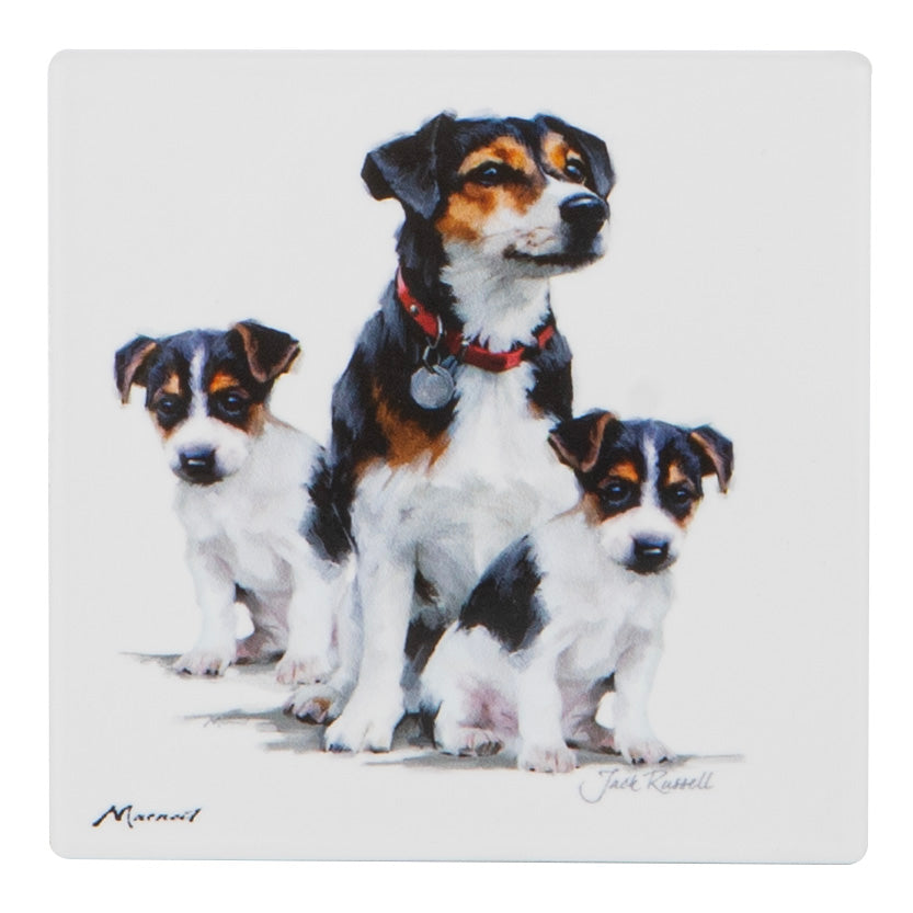 Puppy Love - Jack Russell Ceramic Coaster