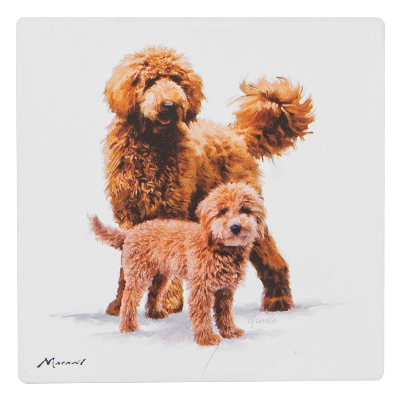 Puppy Love - Groodle Ceramic Coaster