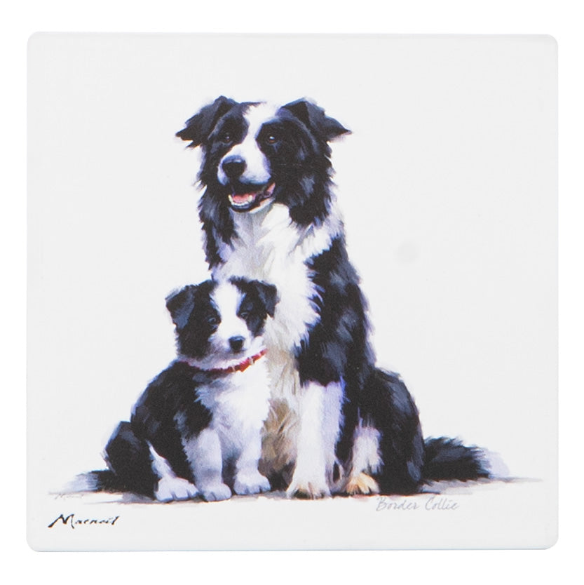 Puppy Love - Border Collie Ceramic Coaster