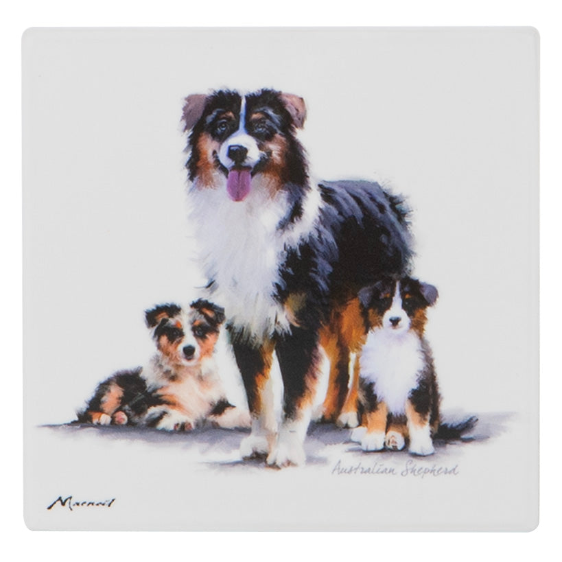 Puppy Love - Australian Shepherd Ceramic Coaster