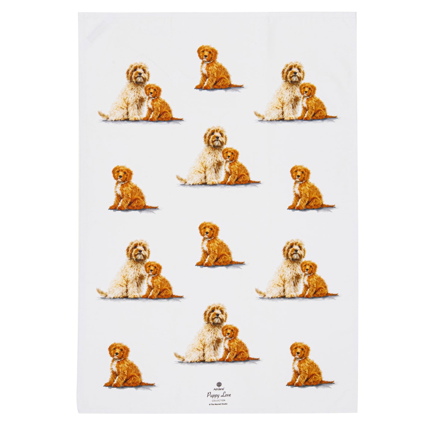 Puppy Love - Cavoodle Kitchen Towel (2PK)