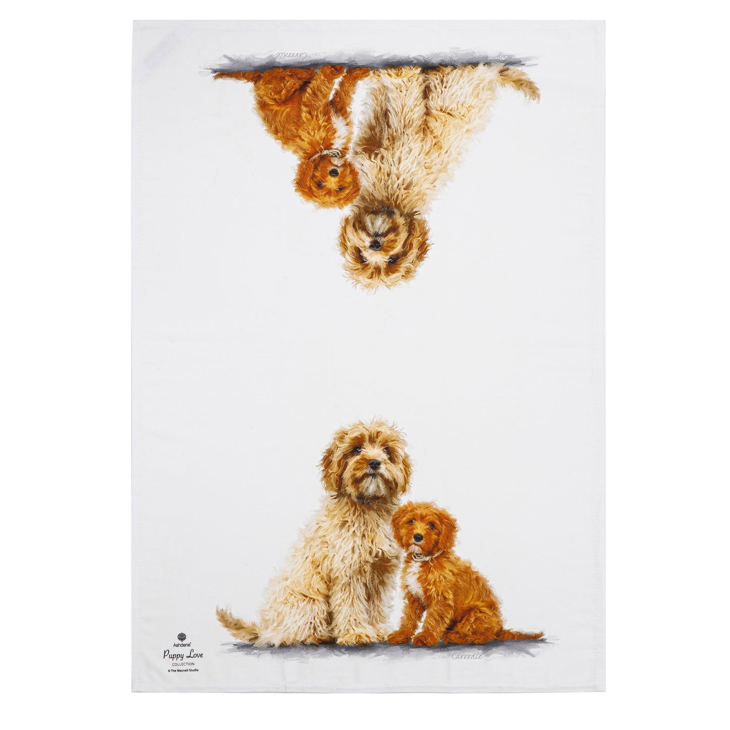 Puppy Love - Cavoodle Kitchen Towel (2PK)