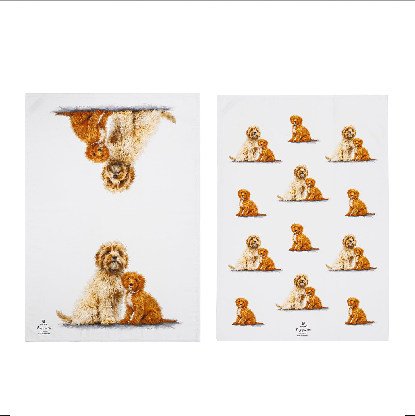 Puppy Love - Cavoodle Kitchen Towel (2PK)