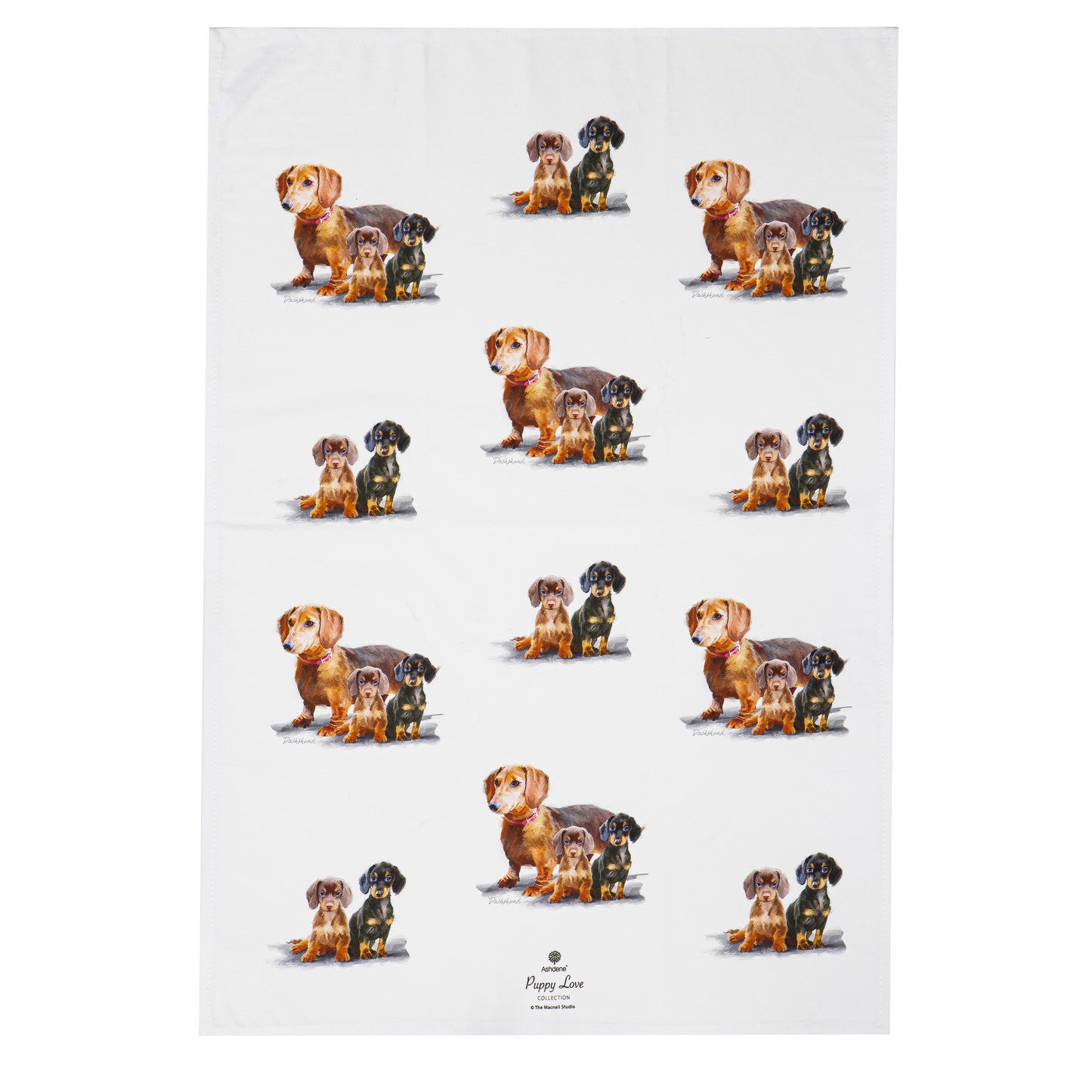 Puppy Love - Dachshund Kitchen Towel (2PK)
