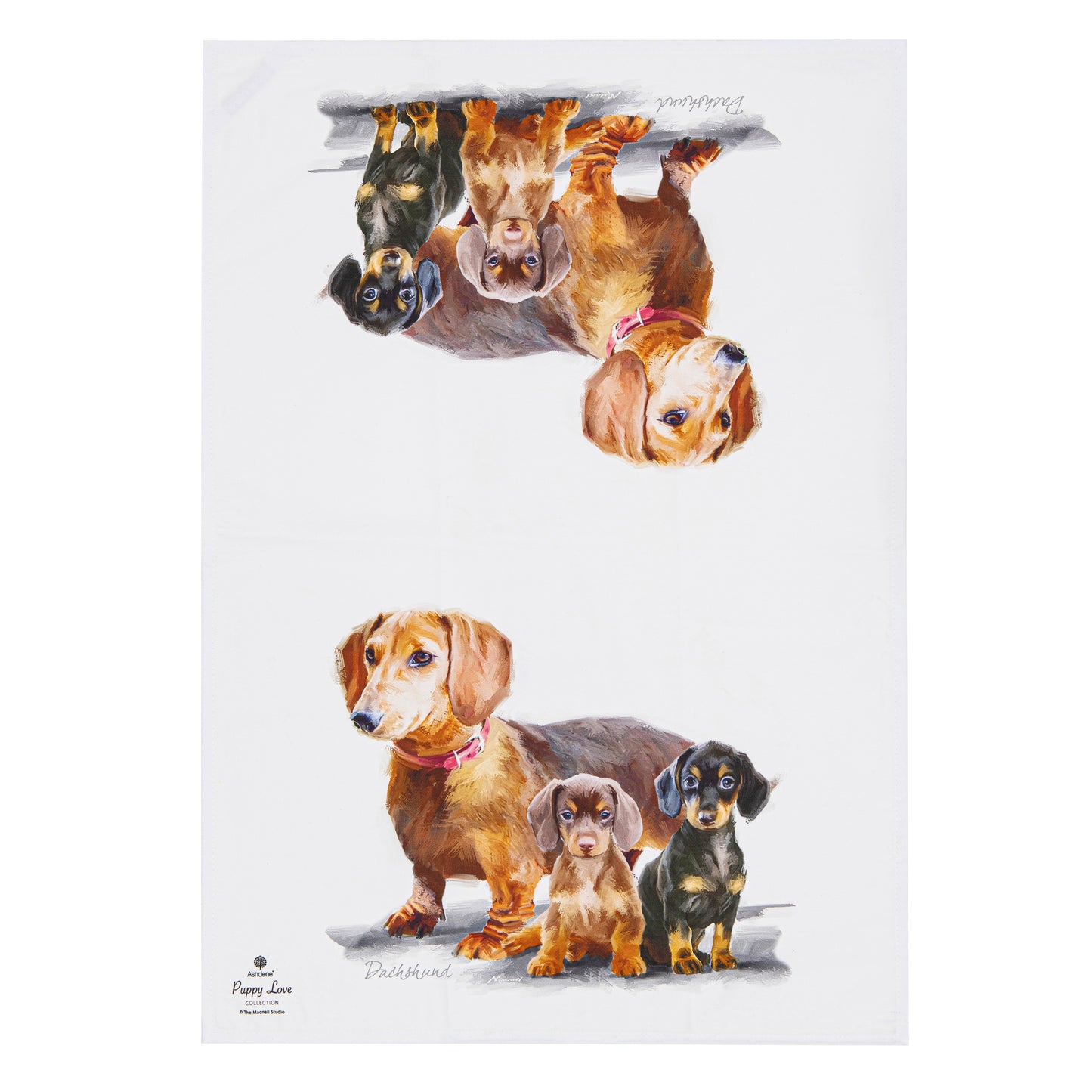 Puppy Love - Dachshund Kitchen Towel (2PK)