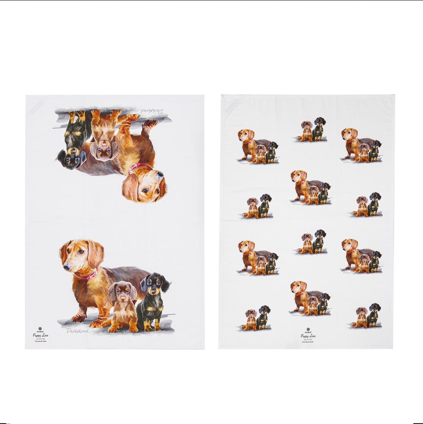 Puppy Love - Dachshund Kitchen Towel (2PK)